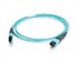 Фотография товара 'Hyperline Патч-корд волоконно-оптический MPO (мама) - MPO (мама), тип B, 12 волокон, 50/125 (OM3), 40/100G, LSZH, 1 м, FHD-MC3-503-MPOF12/PS-MPOF12/PS-B-1M-LSZH-AQ'