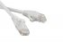 Фотография товара 'Hyperline Патч-корд F/UTP, экранированный Cat.5e, LSZH, PC-LPM-STP-RJ45-RJ45-C5e-0.5M-LSZH-WH'